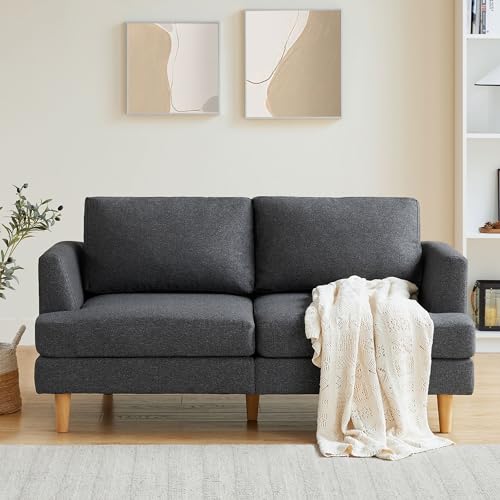 Loveseat Sofa with Deep Seats, 65" Small Couches for Small Spaces Love Seat with 2-Seat Upholstered Cushion, Mid Century Modern Sofa Couches for Living Room, Bedroom, Apartment, Dark Grey