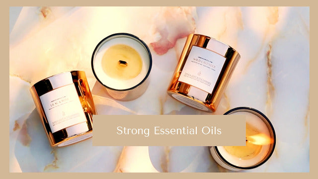 Benevolence Candles Eucalyptus Orange Wood Wick Candles, Soy Scented Candles for Women | 8 Oz Scented Candles for Home Scented | Eucalyptus Candles | Christmas Candles | Men Candles, Bathroom Candle