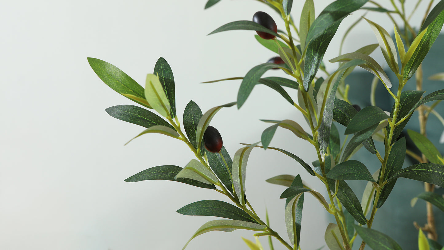 LOMANTO Artificial Olive Trees, 6 ft Tall Fake Olive Trees for Indoor, Faux Olive Silk Tree, Large Olive Plants with White Planter for Home Decor and Housewarming Gift, 1 Pack
