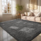 Ophanie 6x9 Area Rugs for Living Room, Large Big Grey Fluffy Shag Fuzzy Plush Soft Carpets, Floor Shaggy Rug for Bedroom, Gray Carpet for Kids Boys Girls Dorm Nursery Home Decor Aesthetic