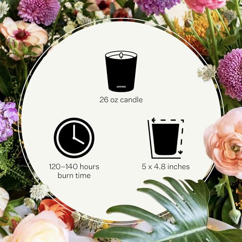 Apotheke 3-Wick Candles (Cedarwood Ginger, 3-Wick)