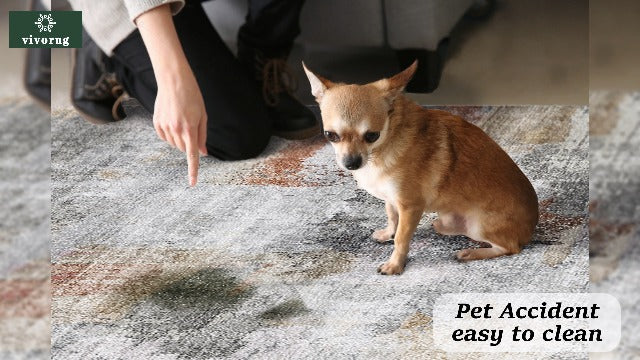 vivorug Washable Rug, Ultra Soft Area Rug 6x9, Non Slip Abstract Rug Foldable, Stain Resistant Rugs for Living Room Bedroom, Modern Fuzzy Rug (Gray/Rust, 6'x9')