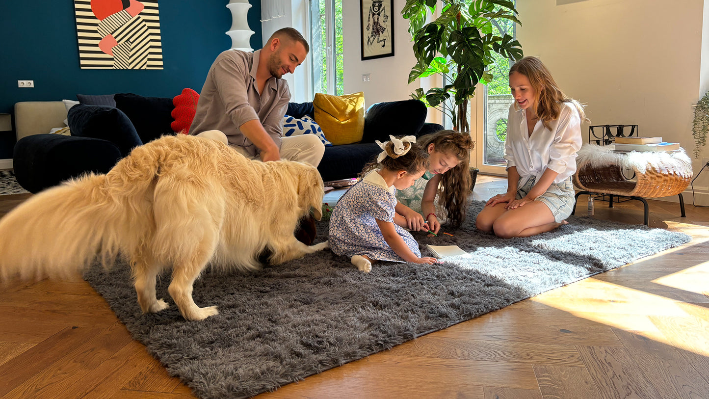 OLANLY Area Rugs for Living Room Bedroom, Machine Washable 4x5.9 Feet Soft Fluffy Shaggy Bedside Rug, Indoor Floor Carpet for Kids Girls and Boys, Dorms, Nursery Rooms, Home Decor Aesthetic, Grey